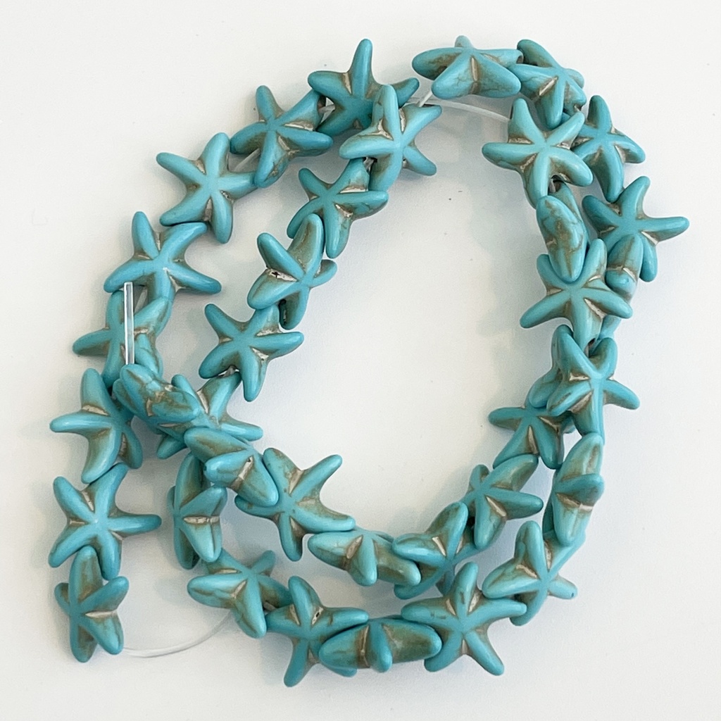 Blue Starfish 