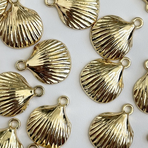 Sea Shell