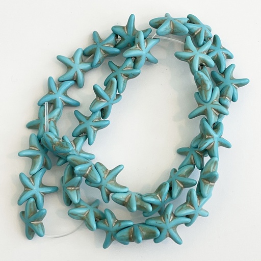 Blue Starfish 