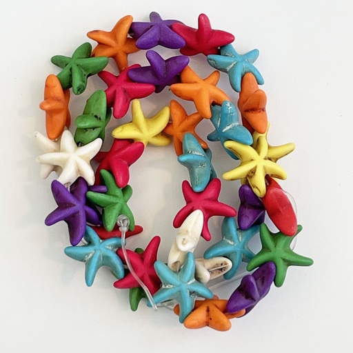 Multicoloured Starfish