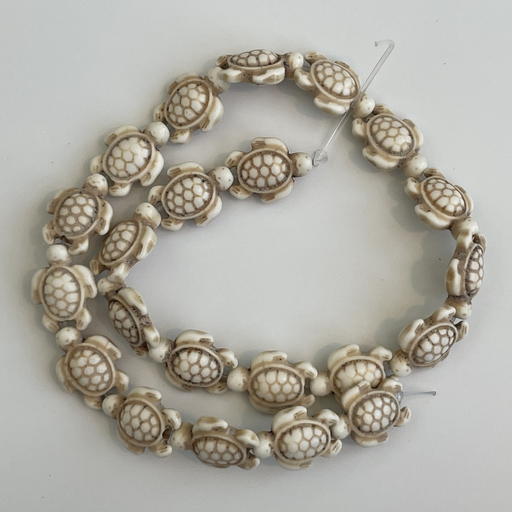 White Turtle